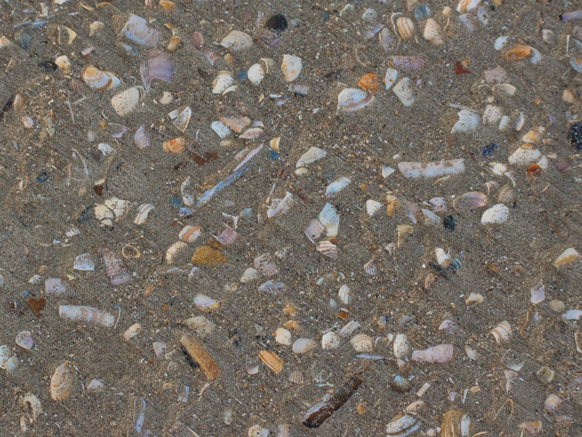 De Panne – Top 5 things to&nbsp;do