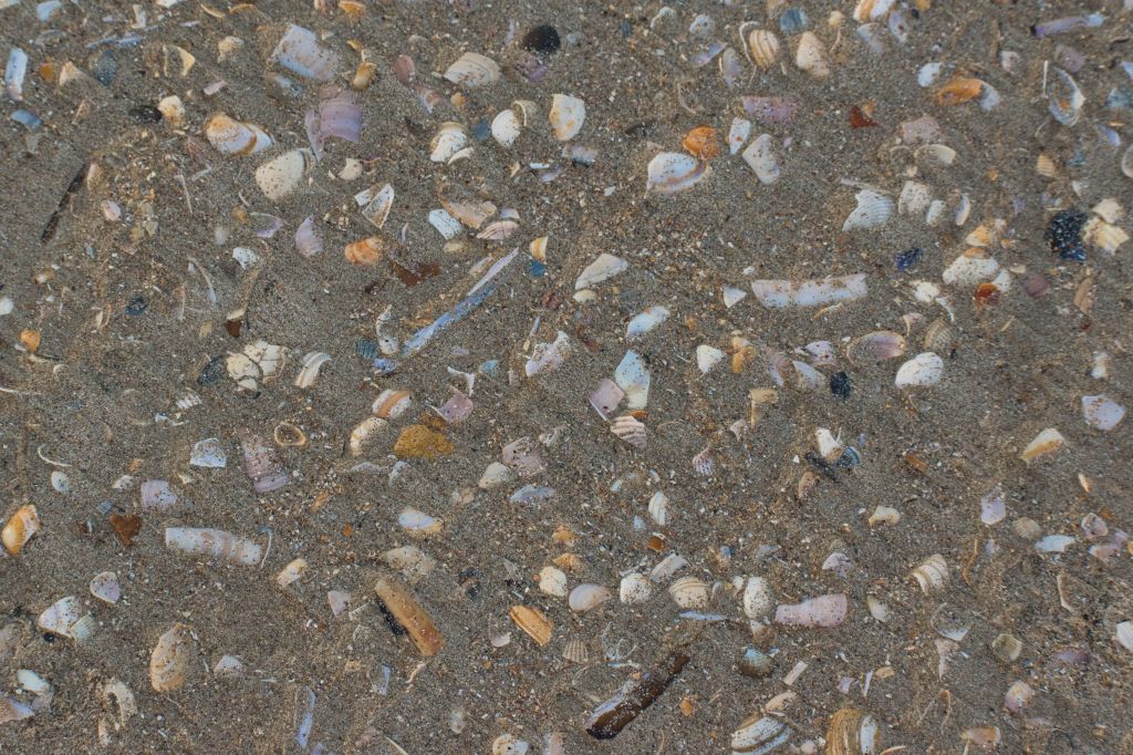 De Panne – Top 5 things to&nbsp;do